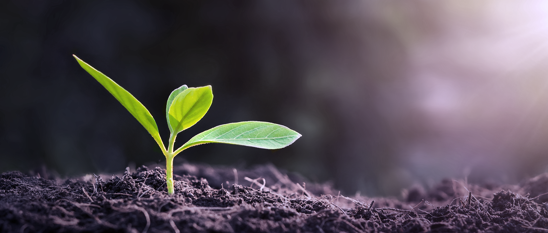 KESSEL ist klimaneutral KESSEL ist klimaneutral